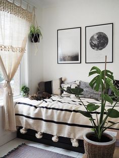 a bedroom with plants and pictures on the wall