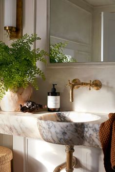 a bathroom sink sitting under a mirror next to a potted plant