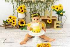 Cake Smash Ideas, Bee Birthday Party, 1st Birthday Photoshoot, Bee Day