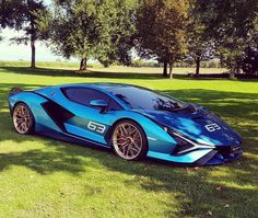 a blue sports car parked in the grass