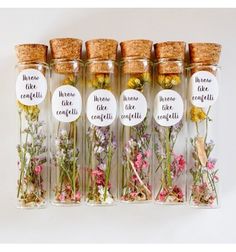 six glass bottles filled with different types of wildflowers and herbs, labeled in labels