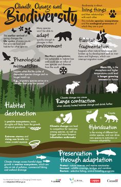 Environmental Science Lesson Plans, What Is Climate, Info Poster, Infographic Poster, Environmental Education, Environmental Awareness, Environmental Science, Earth Science, Environmental Impact