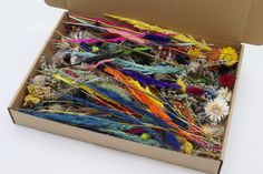 a box filled with lots of different colored feathers