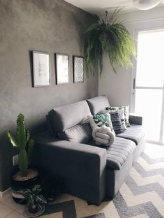 a living room with a couch, potted plant and two pictures on the wall