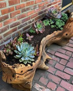 a wooden bench with succulents and plants in it