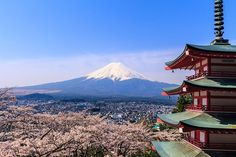 the view of mount fuji in the distance with cherry blossoms on trees and buildings below