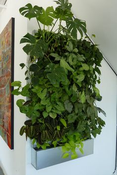 a green plant hanging from the side of a wall next to a stair case with plants growing on it