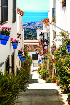 an alley way with potted plants and flowers on the windows sill, looking out onto the ocean