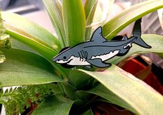 a shark sticker sitting on top of a plant