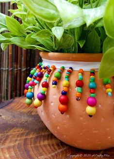 a potted plant with colorful beads on it