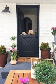 the front door is decorated with potted plants