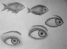 pencil drawing of different types of eyes and fish