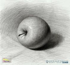 a pencil drawing of an apple in the middle of it's core, on a white background