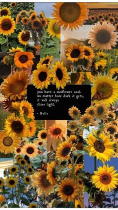 a collage of sunflowers with the words you have a sunflower soul