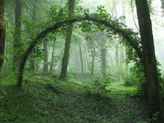 black and white photograph of an arch in the woods with fog coming from behind it