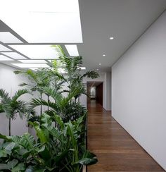 an empty hallway with plants in the middle