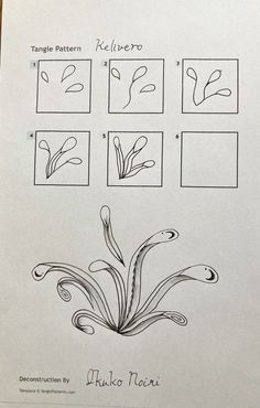 the diagram shows how to draw flowers with pencils and ink, as well as instructions for