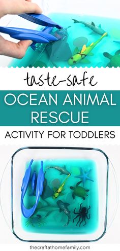 Blue ocean animal Jello tray with the words "Taste-Safe Ocean Animal Rescue Activity for Toddlers" Whale Sensory Bin, Jello Dig Sensory Play, Ocean Animal Crafts For Infants, Aquarium Activities For Kids, Water Animals Activities For Kids, Ocean Life Preschool Activities, Jello Sensory Bin, Jello Sensory Play, Diy Jello