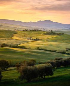 the rolling hills are covered with trees and grass as the sun sets in the distance