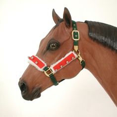 a brown horse wearing a red and green bridle