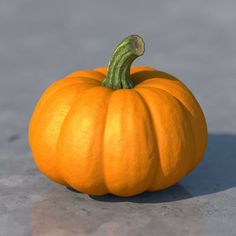 Food Reference Photos, Pumpkin Makeup, Pumpkin Fruit, Photography Items, Pumpkin 3d, Pumpkin Photography, Pumpkin Eyes, Object Reference