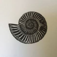 a black and white drawing of a shell on a wall in the shape of a spiral