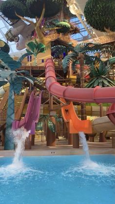 an indoor water park with slides and trees