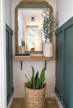 a plant in a basket sitting on top of a wooden shelf next to a mirror