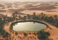 an aerial view of a lake surrounded by sand dunes and palm trees in the desert