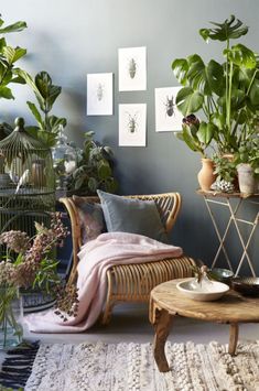 a room with plants and pictures on the wall, including a wicker chair next to a round coffee table