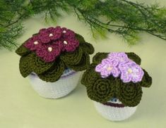 two small crocheted pots with flowers on them sitting next to green branches and pine needles