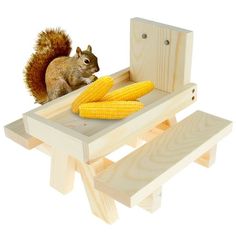 a squirrel sitting on top of a wooden bench with corn on the cob in front of it