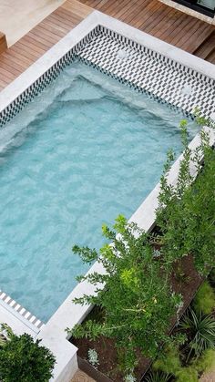 an above ground swimming pool surrounded by plants