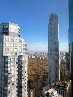 #nyc #autumn #nyclife #highrise #skyscraper #fall #fallinthecity Nyc Autumn, Autumn Leaves Photography, Autumn Photography, Autumn Day, Skyscraper, High Rise