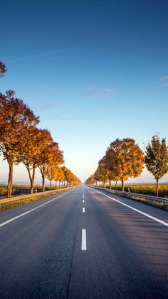 an empty road lined with trees in the middle of fall colors, on a clear day