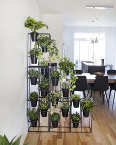 there are many potted plants on the shelf next to the dining room table and chairs