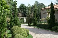 a driveway with trees and bushes on both sides