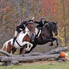 two people on horses jumping over logs in the woods with fall foliage and trees behind them