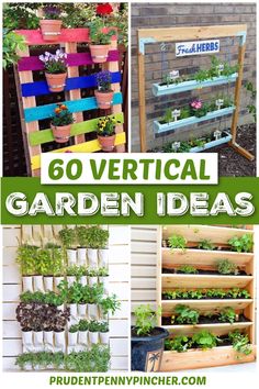 several different garden ideas with text overlay that reads, 60 vertical garden ideas