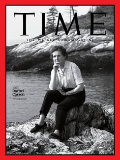 a man sitting on top of a rock next to the ocean with his hands under his chin