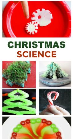 christmas science activities for kids to do with the kids at home and in the classroom