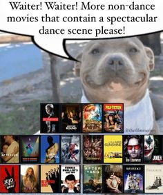 an image of a dog that is looking at the camera and saying, water water more non - dance movies that contain a spectacular dance scene please