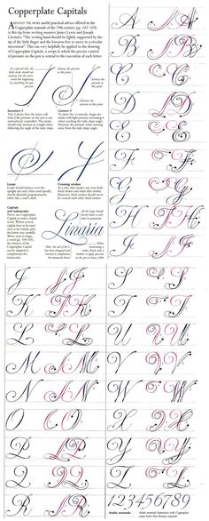 some type of calligraphy that is in different styles and font types, including the upper one