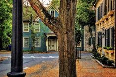 a tree in front of a house on a street with autumn leaves covering the ground