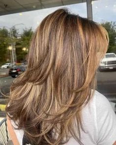 Light Brown Hair Color With Blonde Highlights, Hair With Depth, Harsh Highlights Hair, Highlights Light Brown Hair Blonde, Light Layered Hair, Hair With Highlights And Layers, Honey Hair Highlights, Layered Highlighted Hair, Layered Haircut With Highlights