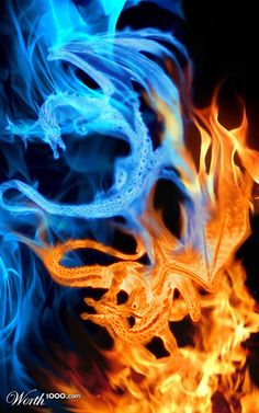 fire and blue flames in the shape of a dragon