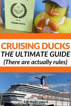 the ultimate guide to cruising ducks and other things that are actually true or fake in real life