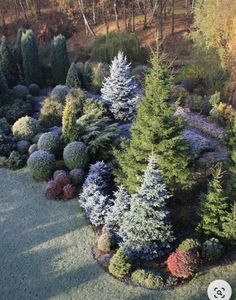 an aerial view of various trees and shrubs