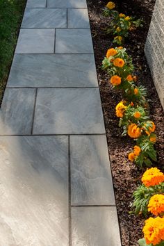 an outdoor walkway with flowers growing on the side