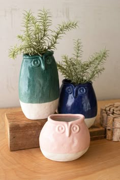 two ceramic owl planters sitting on top of a wooden table next to some logs